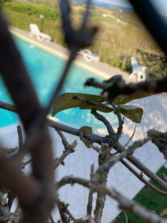 Appartamento Il Vecchio Fienile San Gimignano Bagian luar foto